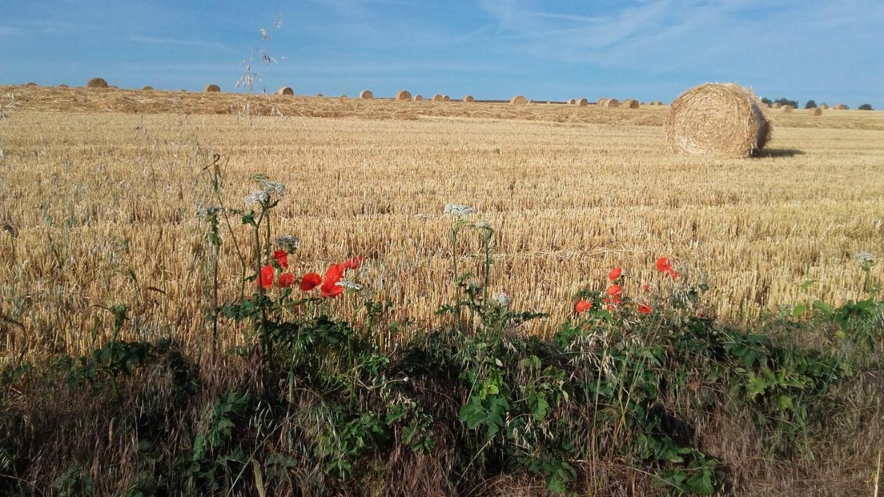 La Chambre O Z'Amis Longues-sur-Mer Kültér fotó